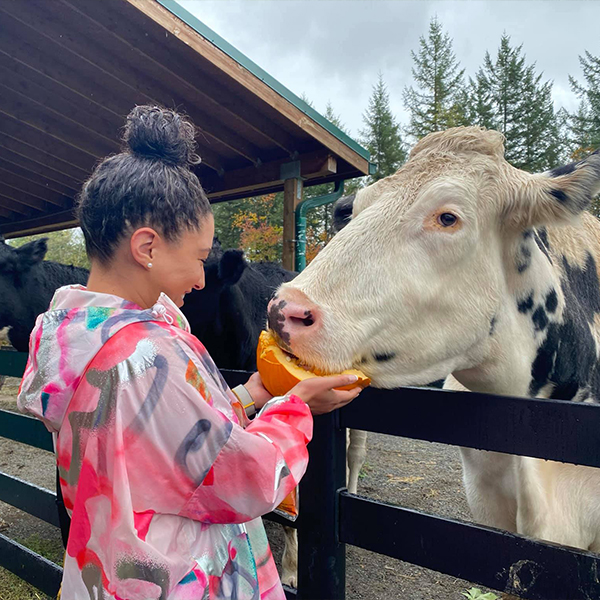 https://staging.pasadosafehaven.org/wp-content/uploads/2022/01/tour-cow-treats.jpg